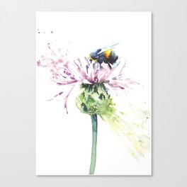 Bee on Thistle Canvas Print