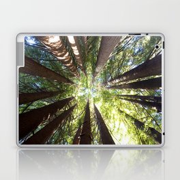 Humboldt California Redwood Trees Laptop & iPad Skin