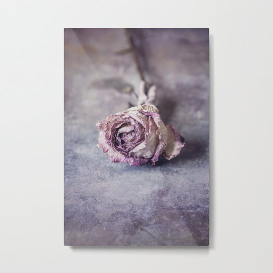 Dried Rose Metal Print