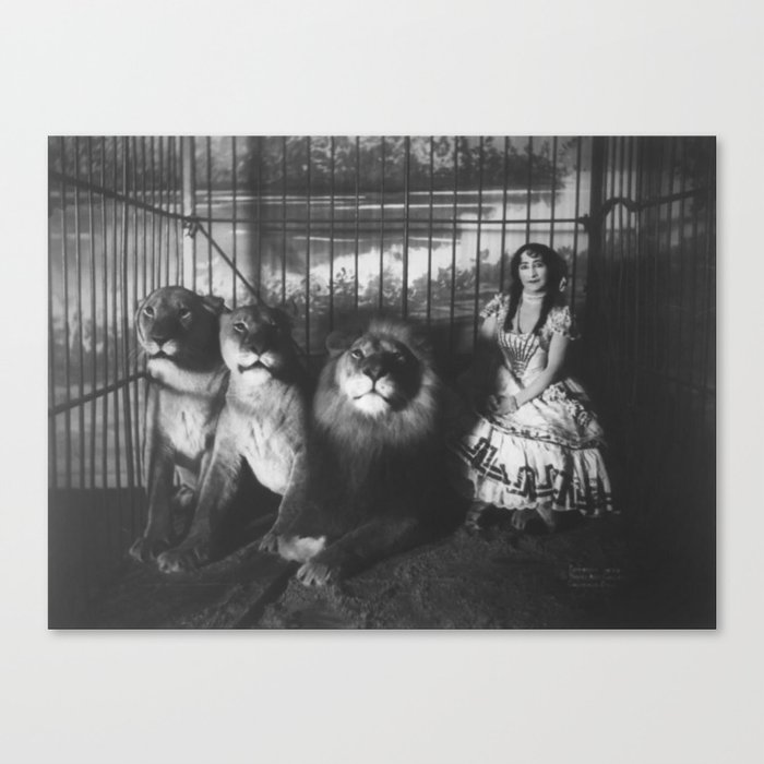 Adjie and the lions; Victorian woman in a cage with lions black and white photograph - photography - photographs Canvas Print