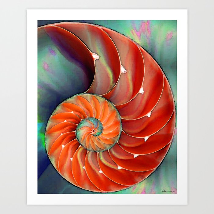 Nautilus Shell Nature S Perfection By Sharon Cummings Art Print By Sharoncummings Society6