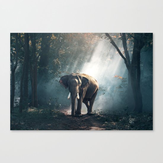 Elephant Canvas Print