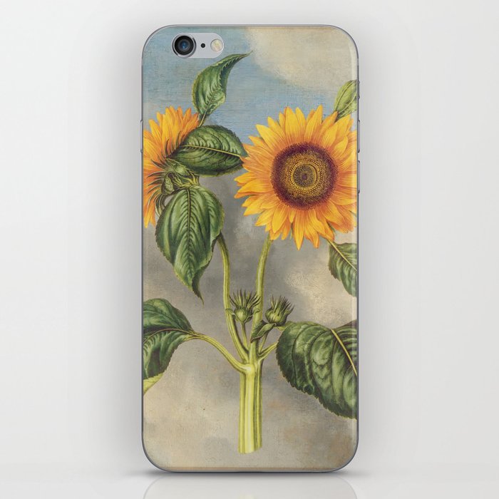 Vintage sunflower grunge style 5 iPhone Skin