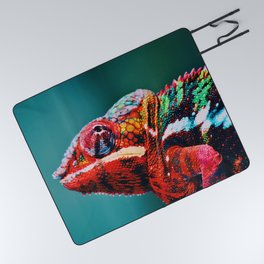 South Africa Photography - Colorful Chameleon Picnic Blanket