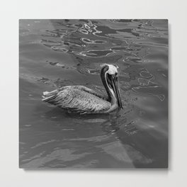 Brown Pelican B & W 0581 - Cedar Key, Florida Metal Print