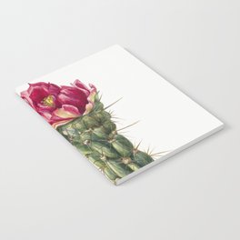 Walkingstick Cholla (Opuntia imbricata)  Notebook