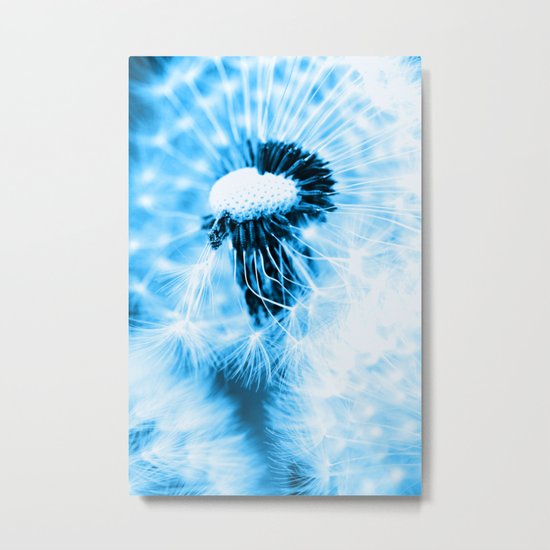 Dandelion Metal Print
