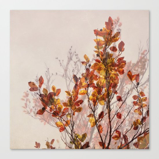autumn symphonies II Canvas Print