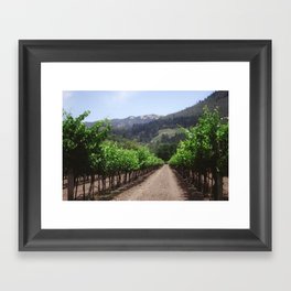 Napa Valley Vineyard Framed Art Print
