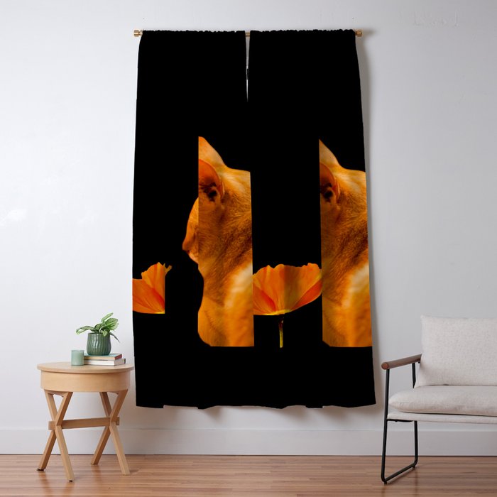 Blackout Curtain