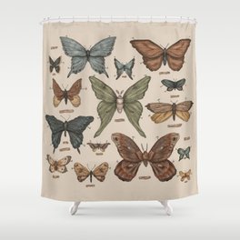 Butterflies and Moth Specimens Shower Curtain