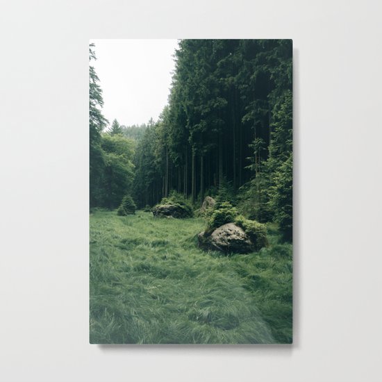 Forest Field - Landscape Photography Metal Print