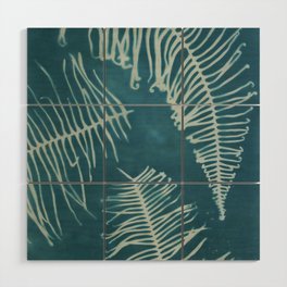 curled ferns on teal Wood Wall Art