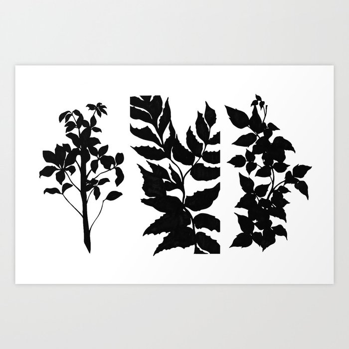Plant Silhouettes Art Print