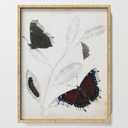 Butterfly metamorphosis by Philip Henry Gosse, 1833  Serving Tray