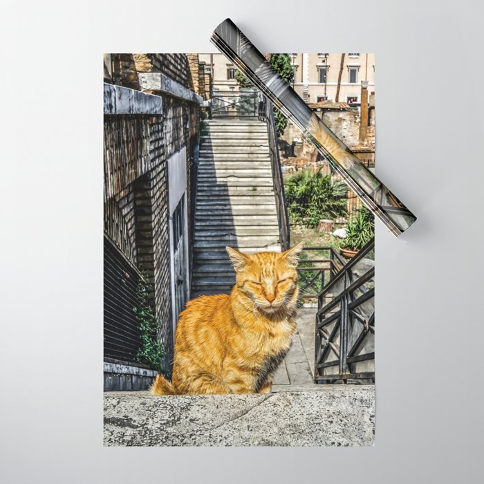 Argentina Photography - Beautiful Orange Cat Standing At The Stone Stairs Wrapping Paper