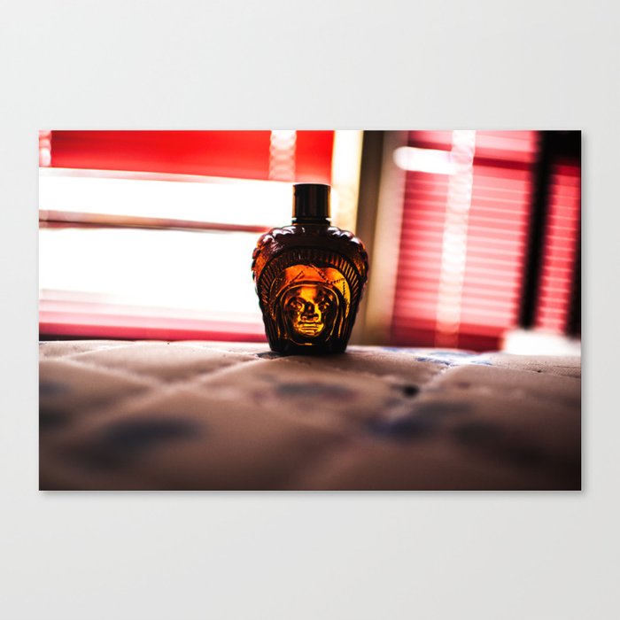 message in a bottle Canvas Print