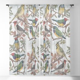 Vintage Birds Sheer Curtain
