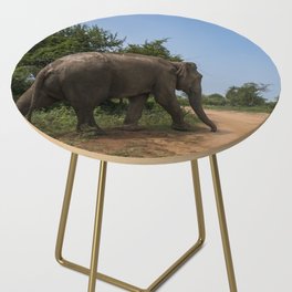 Sri Lanka elephant Side Table