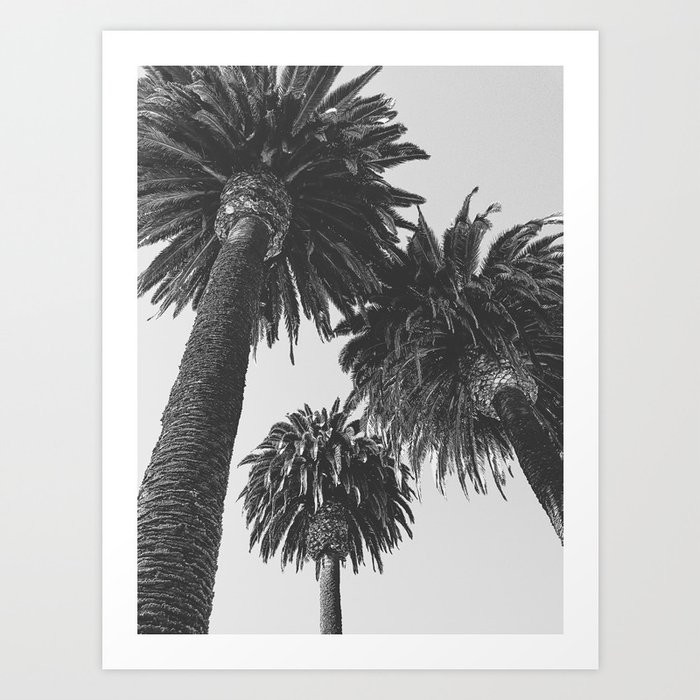 Triple Palms in Black and White Art Print
