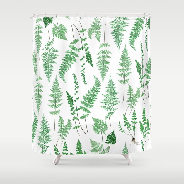 Ferns on White I - Botanical Print Shower Curtain