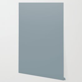 Medium Artic Blue Gray Solid Color PPG Symmetry PPG1037-4 - All One Single Shade Hue Colour Wallpaper