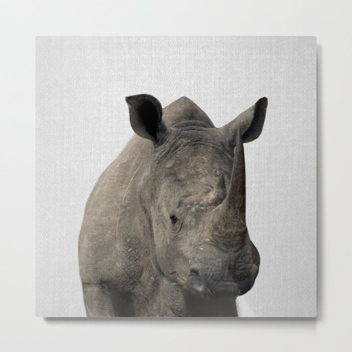 Rhino - Colorful Metal Print