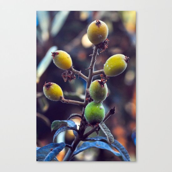 Exotic Fruits - Botanical Garden Canvas Print