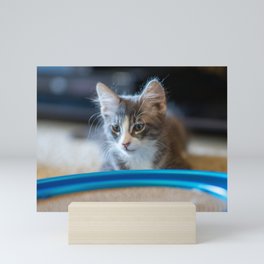 CATS Mini Art Print