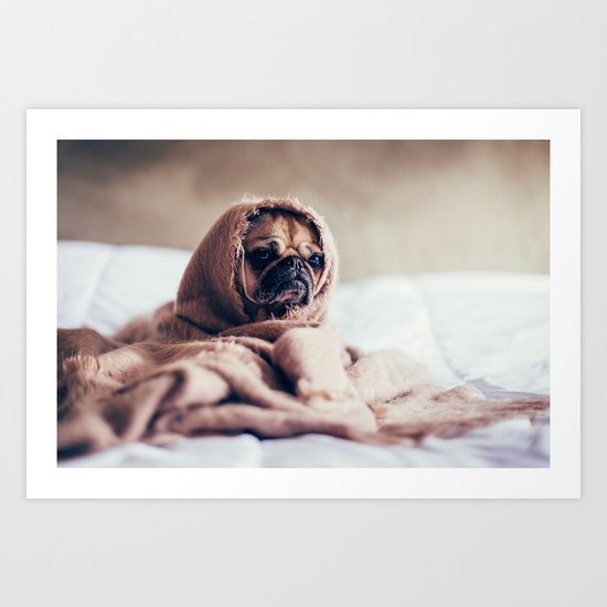 Cute Little Pug Art Print