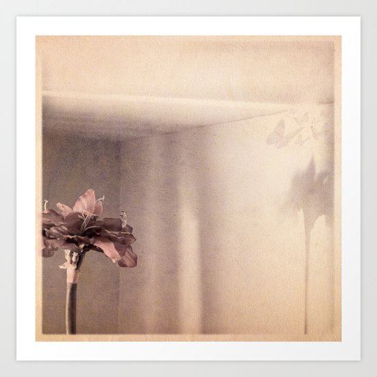 afternoon light Art Print