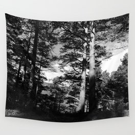 Light Contrast in a Scottish Highlands Pine Forest in Black and White  Wall Tapestry