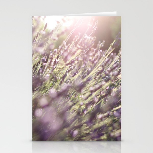 Lavender blossoms in France during late summer Stationery Cards