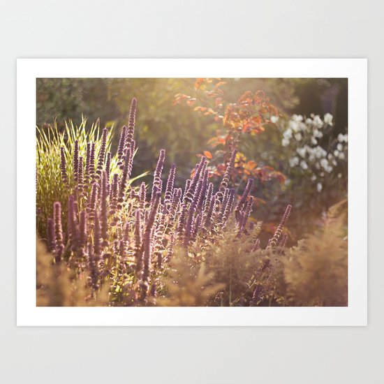 Fall Garden Art Print