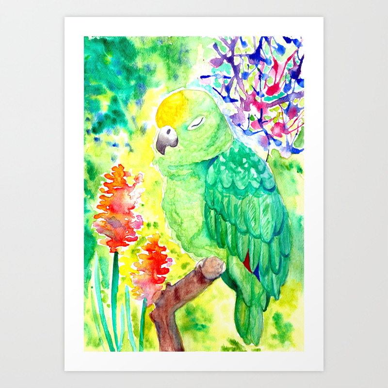 Sleepy Parrot Watercolor Painting Art Print By Ilylilyart