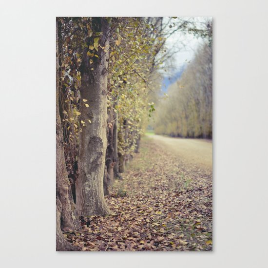 Autumn whisper Canvas Print