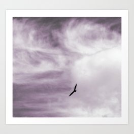 Hawk flying, cool sky Art Print
