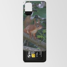 Baby squirrel in a tree Android Card Case