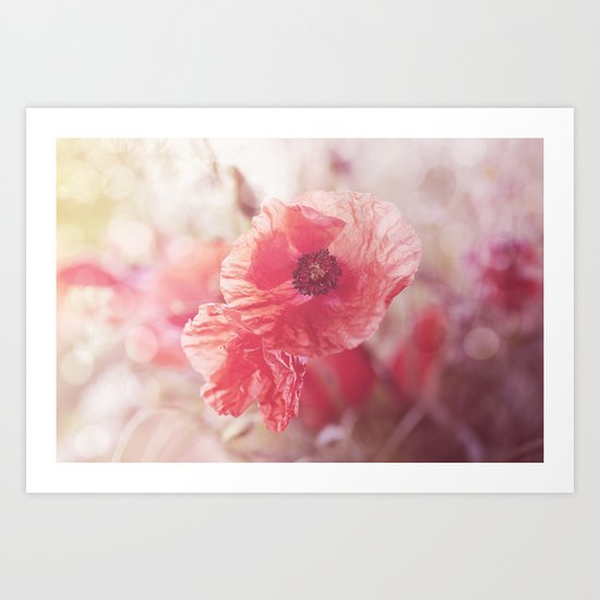 Romantic Poppy flower soft pastel colors Art Print