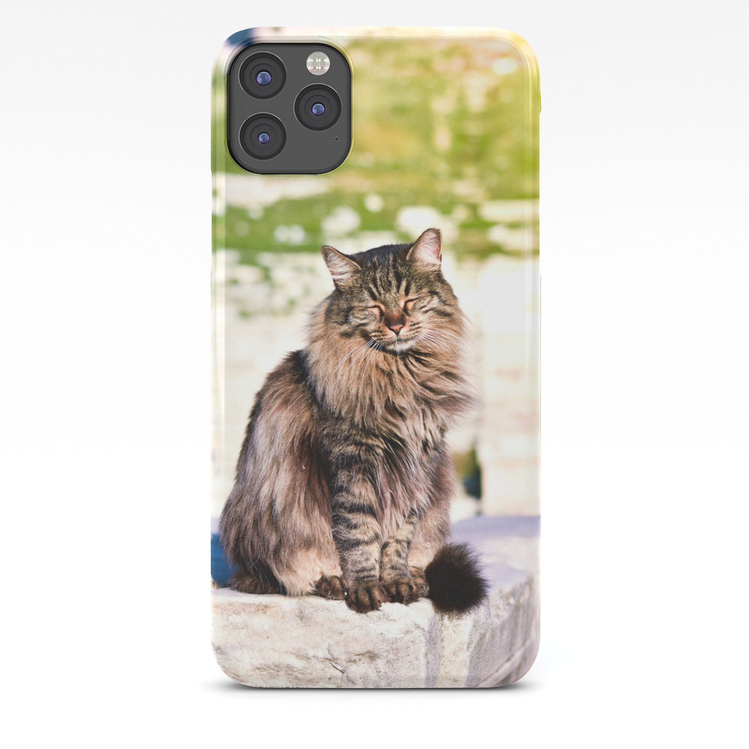 God is a Cat iPhone 11 case God is a Cat iPhone 11 case