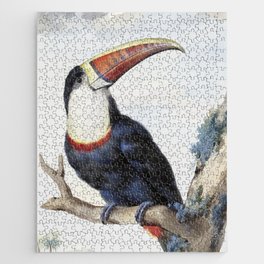 Red-billed Toucan Jigsaw Puzzle