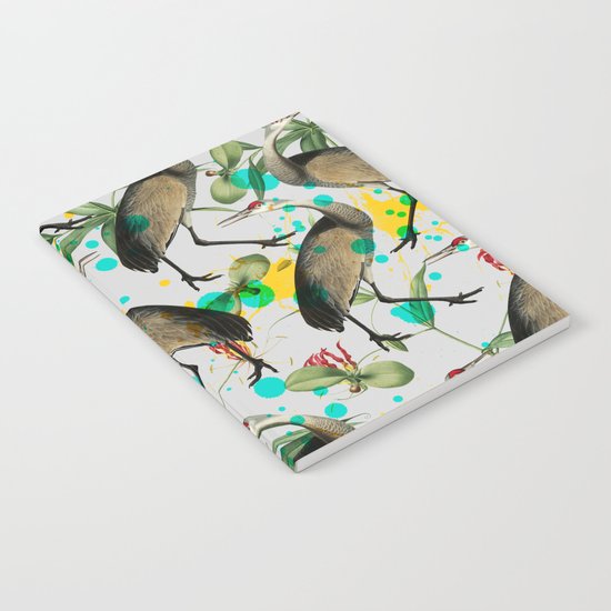 TRANDRIUNS Notebook