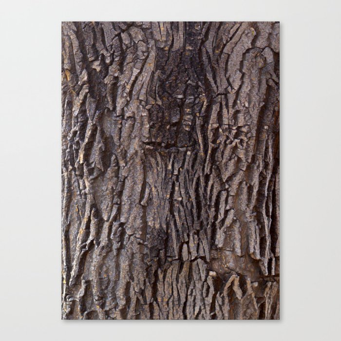 Tree Bark Canvas Print