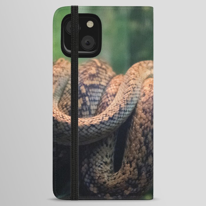 snakes  iPhone Wallet Case