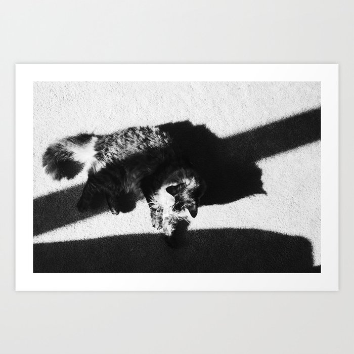 Aesthetic Black And White Cat Art Print By Meganography Society6