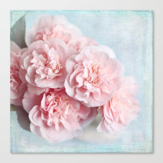 pink camellia Canvas Print