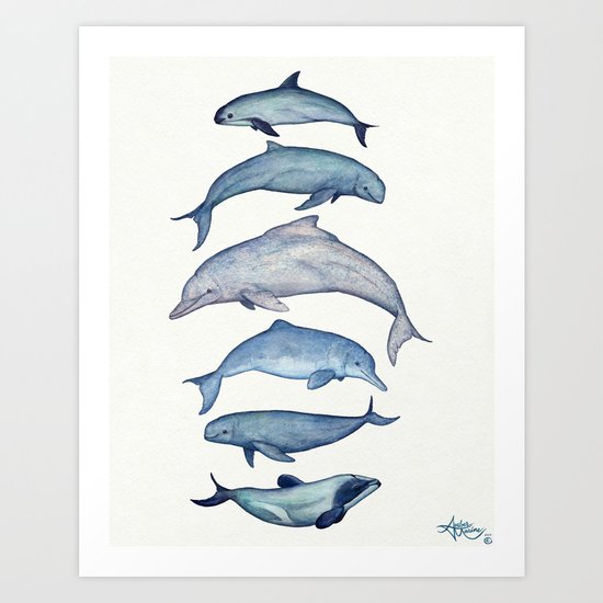 "Rare Cetaceans" by Amber Marine - Watercolor dolphins and porpoises - (c) 2017, vaquita, maui's,... Art Print
