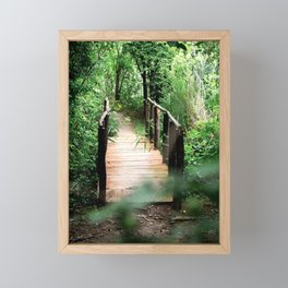 Old wooden bridge 1 Framed Mini Art Print
