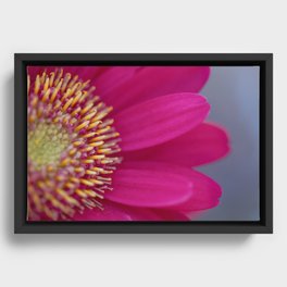 Pretty in Pink Framed Canvas