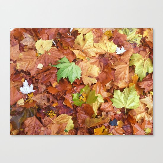 Autumn Leaves Canvas Print
